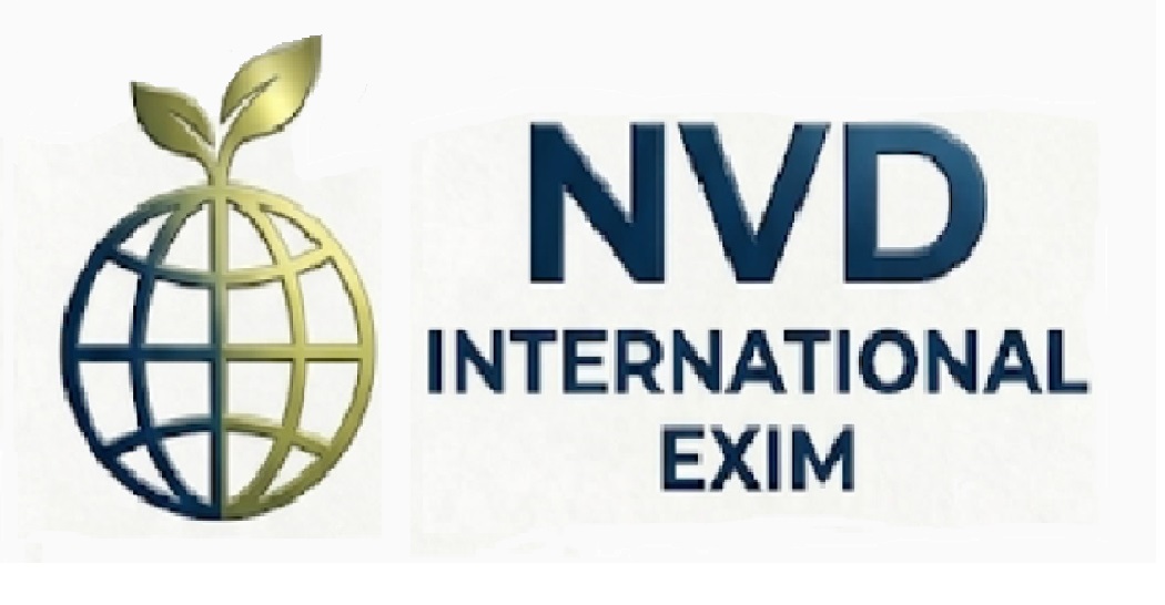 NVD International Logo